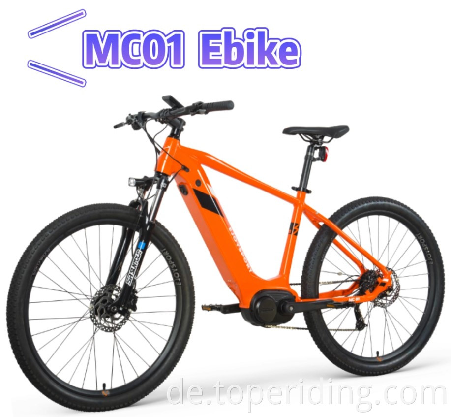 E Dirt Bike